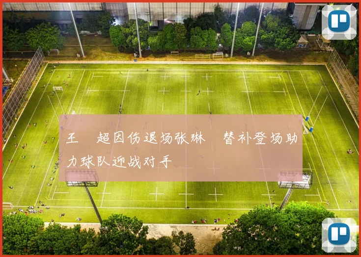 王燊超因伤退场张琳芃替补登场助力球队迎战对手
