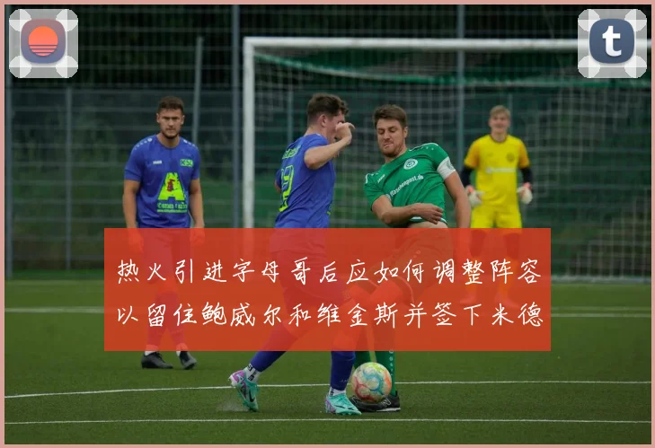 热火引进字母哥后应如何调整阵容以留住鲍威尔和维金斯并签下米德尔顿